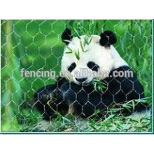 Hexagonal wire mesh used for chicken feeding